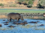 ������ �� ��������