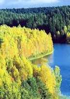 ������ �� �������
